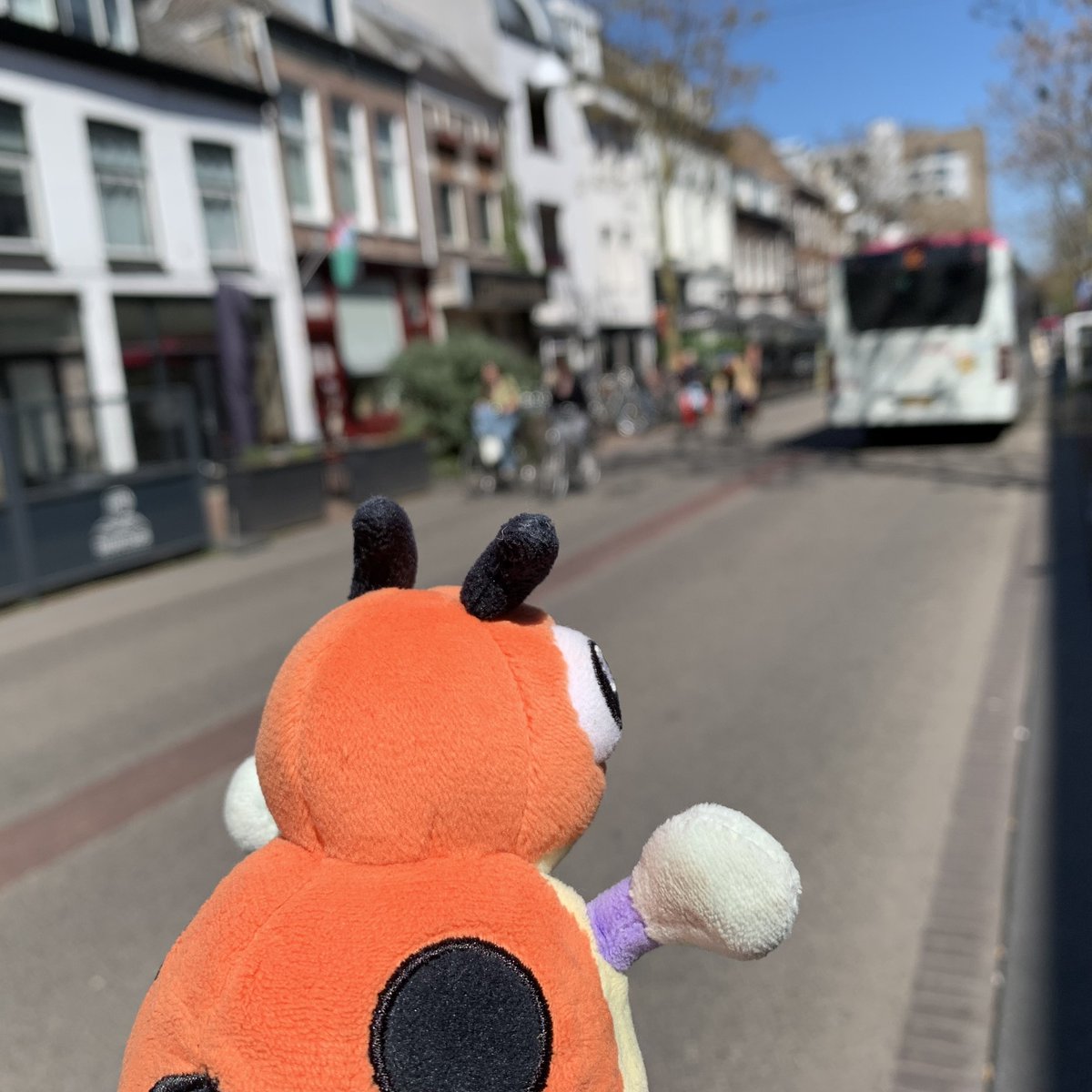 LedybaBaby's tweet photo. I am flying behind a bus. :3

#Pokemon #Ledyba #Rediba #レディバ #ポケモン #ポケぬい #Nijmegen https://t.co/1GLWJDnJxc