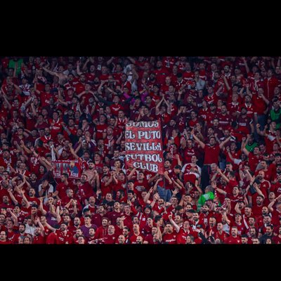 sfc tweet media