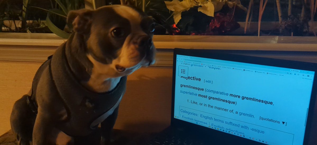 MoribundMurdoch's tweet image. A picture is worth a thousand words, but what if it only had to be worth one? 📸 

Join r/LexicalPhotos, where real-world photos bring dictionary definitions to life. Every image is a word. Every word gets its moment. 

#Photography #WordNerd #LexicalPhotos