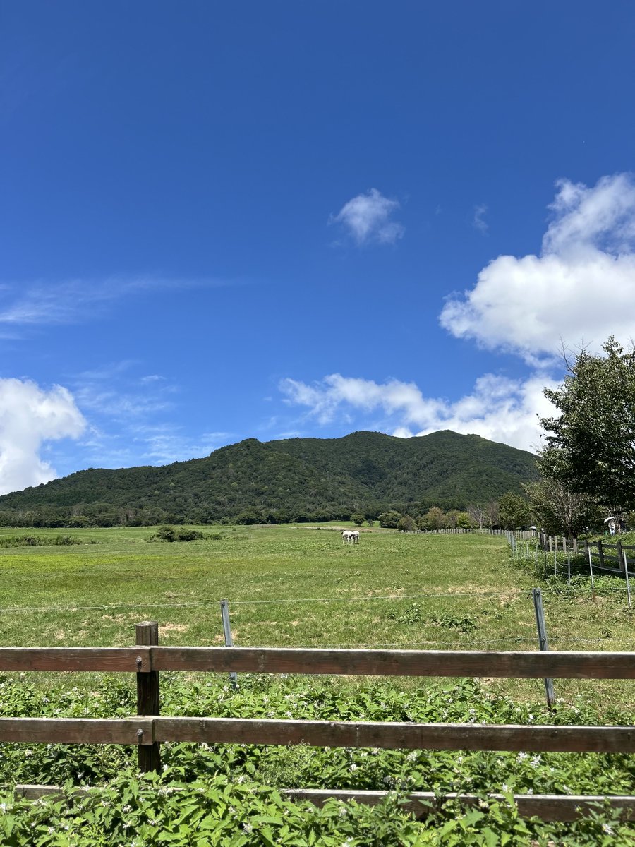 かつじパンダ tweet media