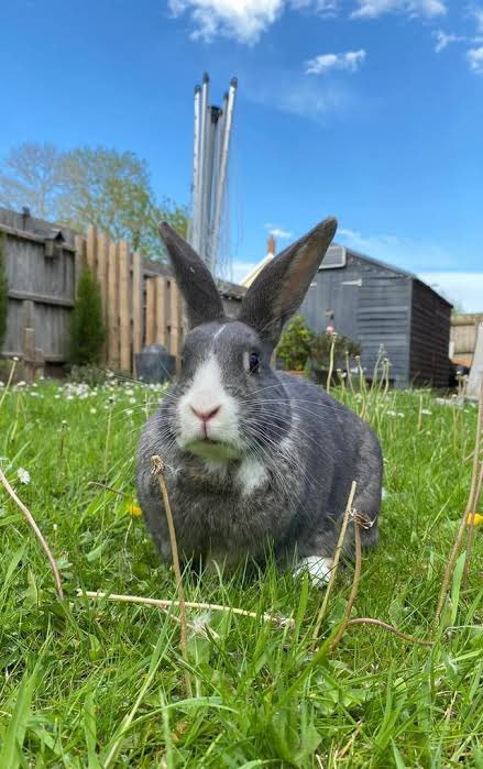 Shanegoesphew⚡️ tweet media