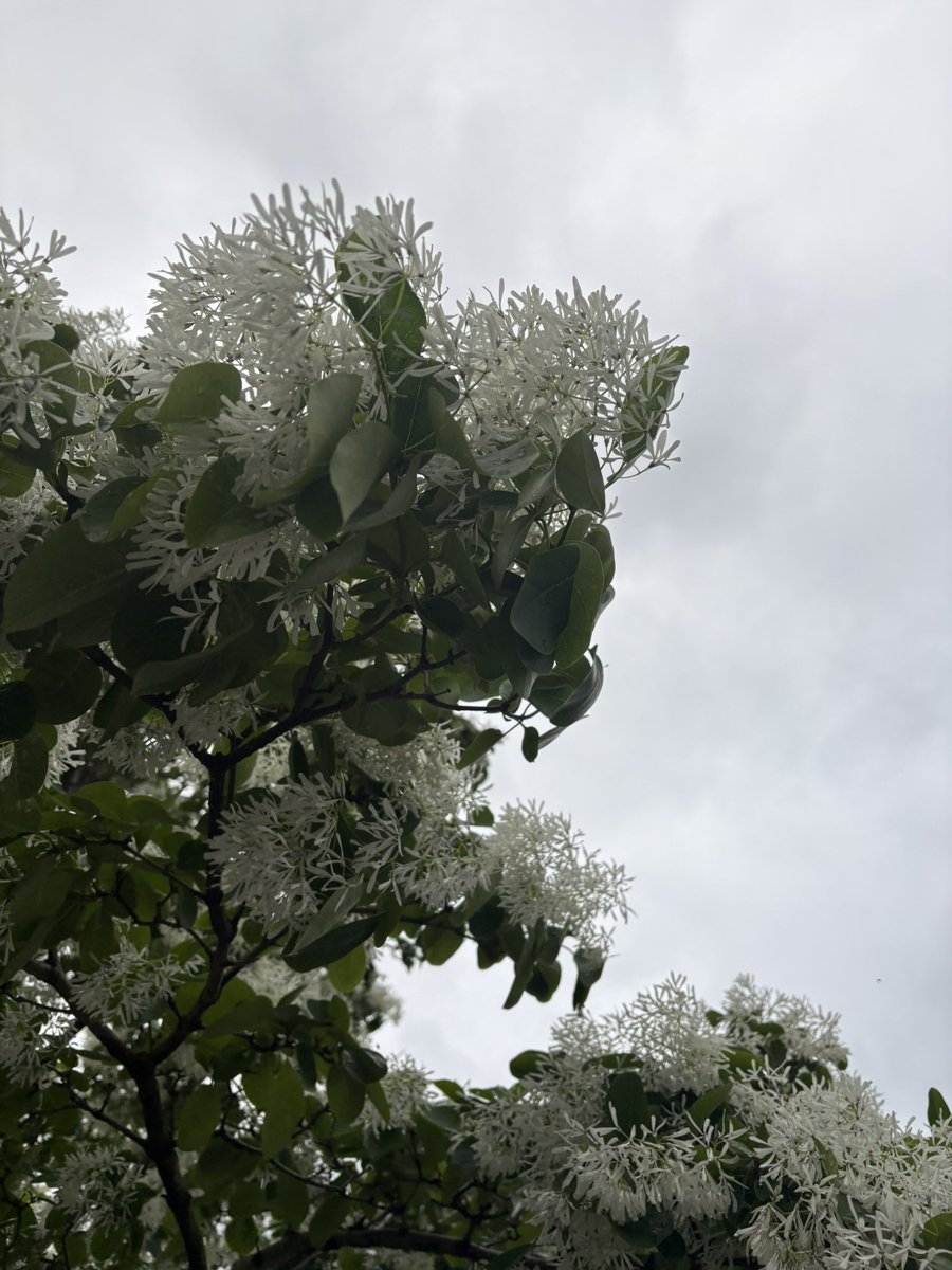 鈴本るん🐼 tweet media