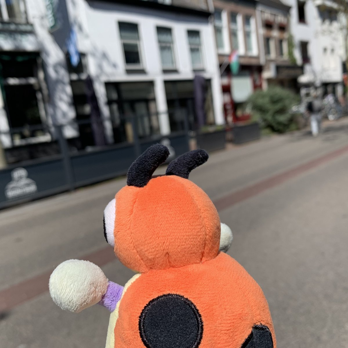 LedybaBaby's tweet photo. There is a pub here. Are the Pokemon who enter that pub drunk?

#Pokemon #Ledyba #Rediba #レディバ #ポケモン #ポケぬい #Nijmegen https://t.co/WSKFvA5ACr