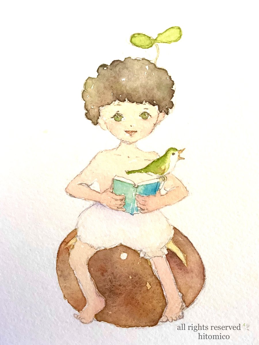 木村瞳子 tweet media