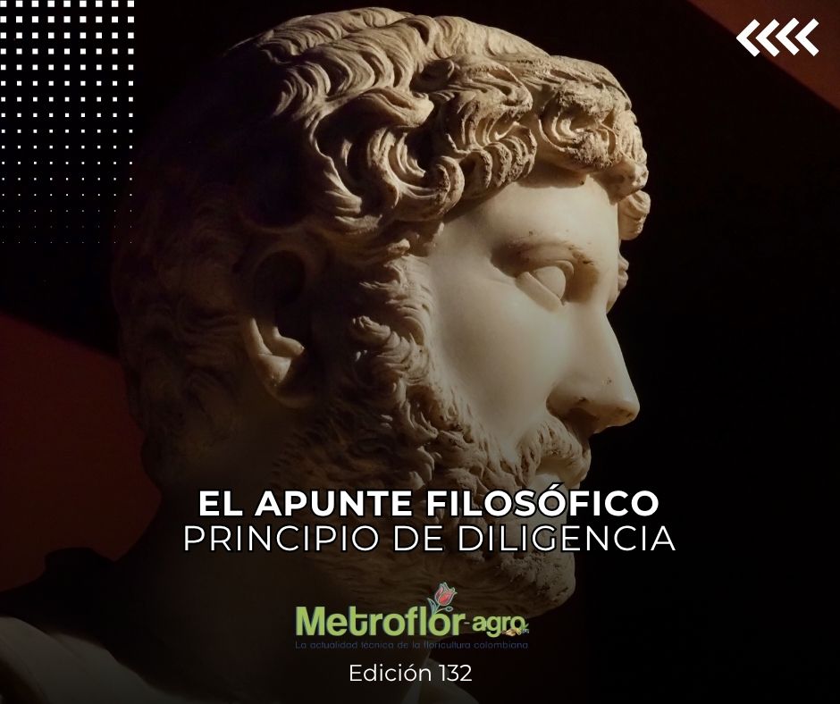 Revista Metroflor-agro tweet media