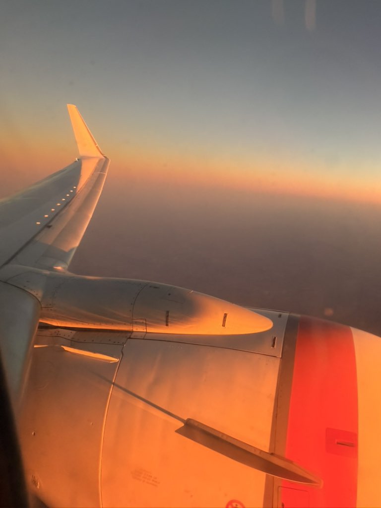 Gemini ꨄ︎ tweet media