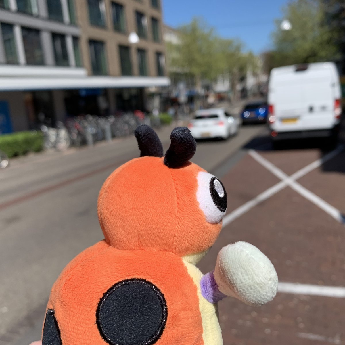 LedybaBaby's tweet photo. How does it feel to be awesome, dear followers?

#Pokemon #Ledyba #Rediba #レディバ #ポケモン #ポケぬい #Nijmegen https://t.co/BI0g6Sq3jU