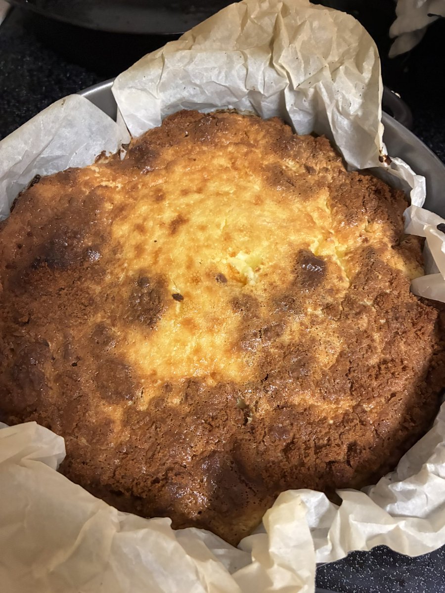 one year of conking 🐢 🪶 tweet media