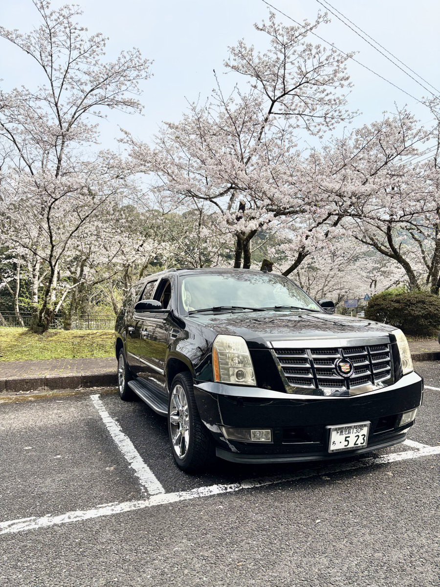 chikinritoru919's tweet photo. 売りますぅ買ってくださいいいいい
車検通したばっかりですー！ https://t.co/6jtdCGkuaW