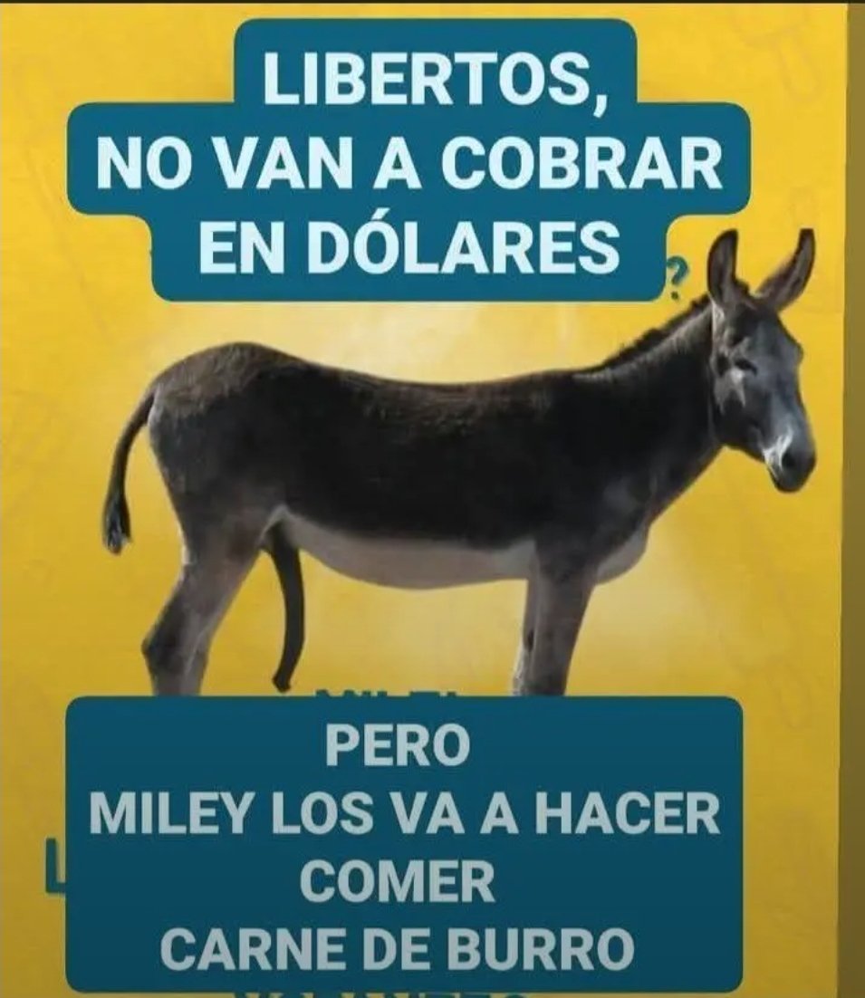 Antipeluca tweet media