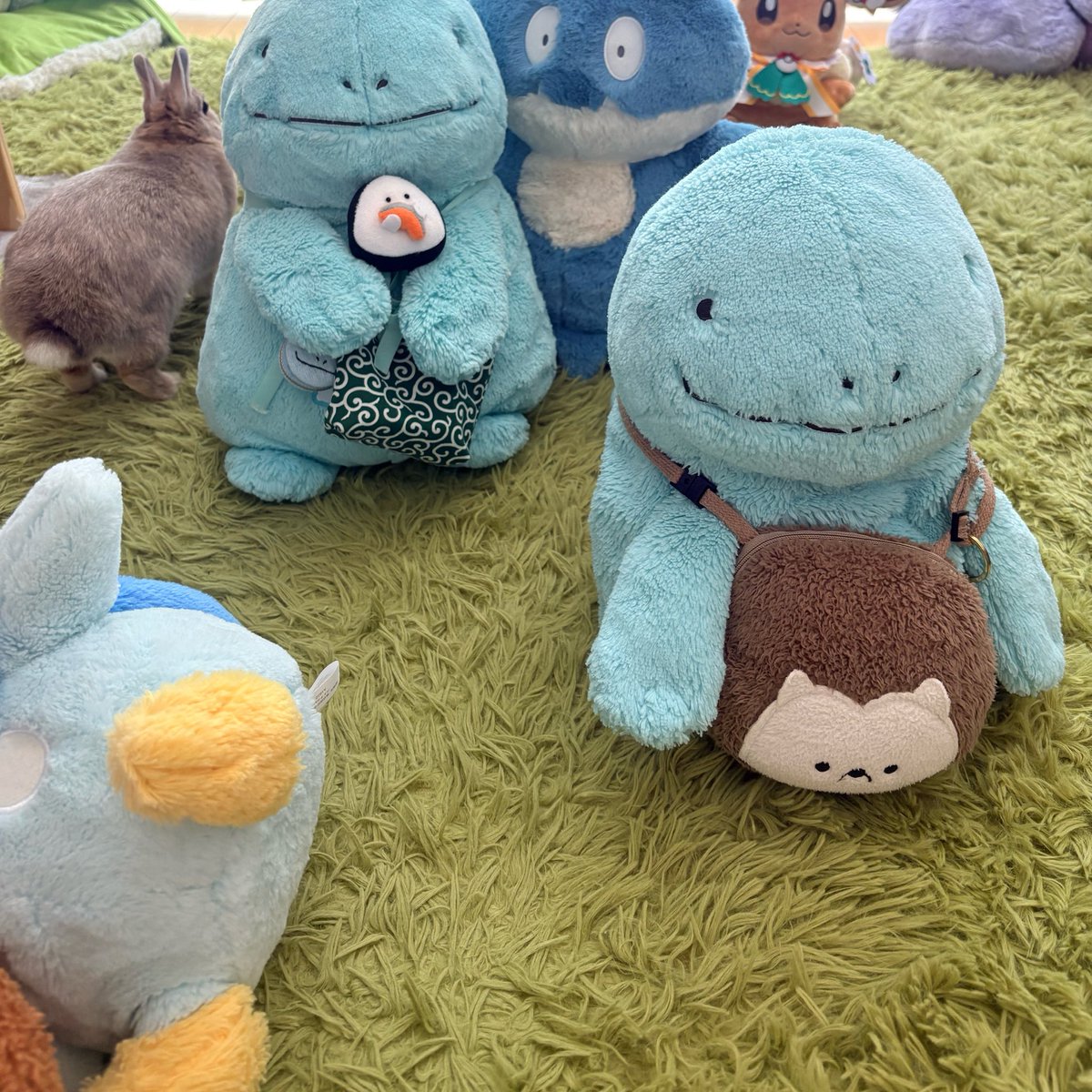 🐻くまママ️️🩵💎️️.*･ﾟ tweet media