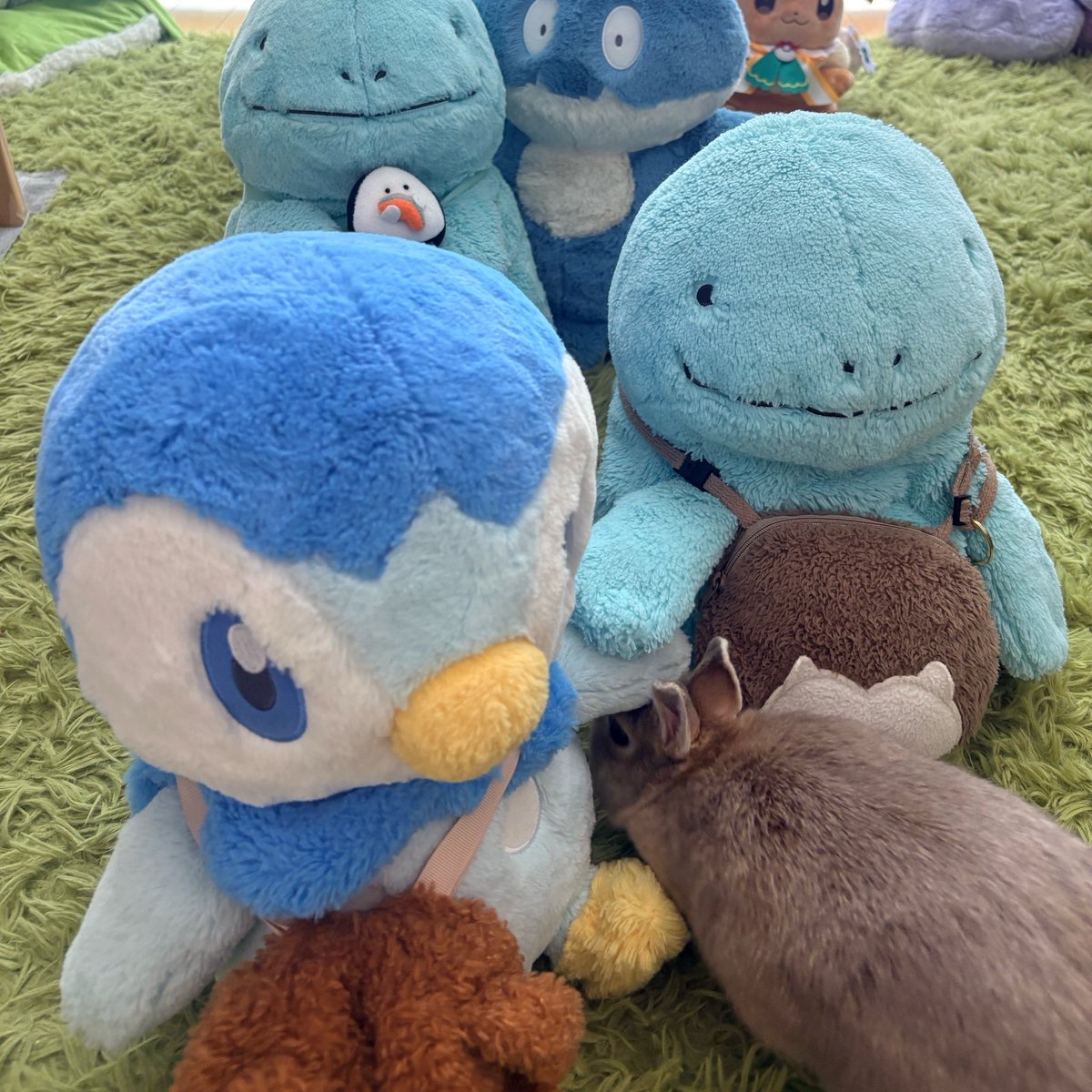 🐻くまママ️️🩵💎️️.*･ﾟ tweet media