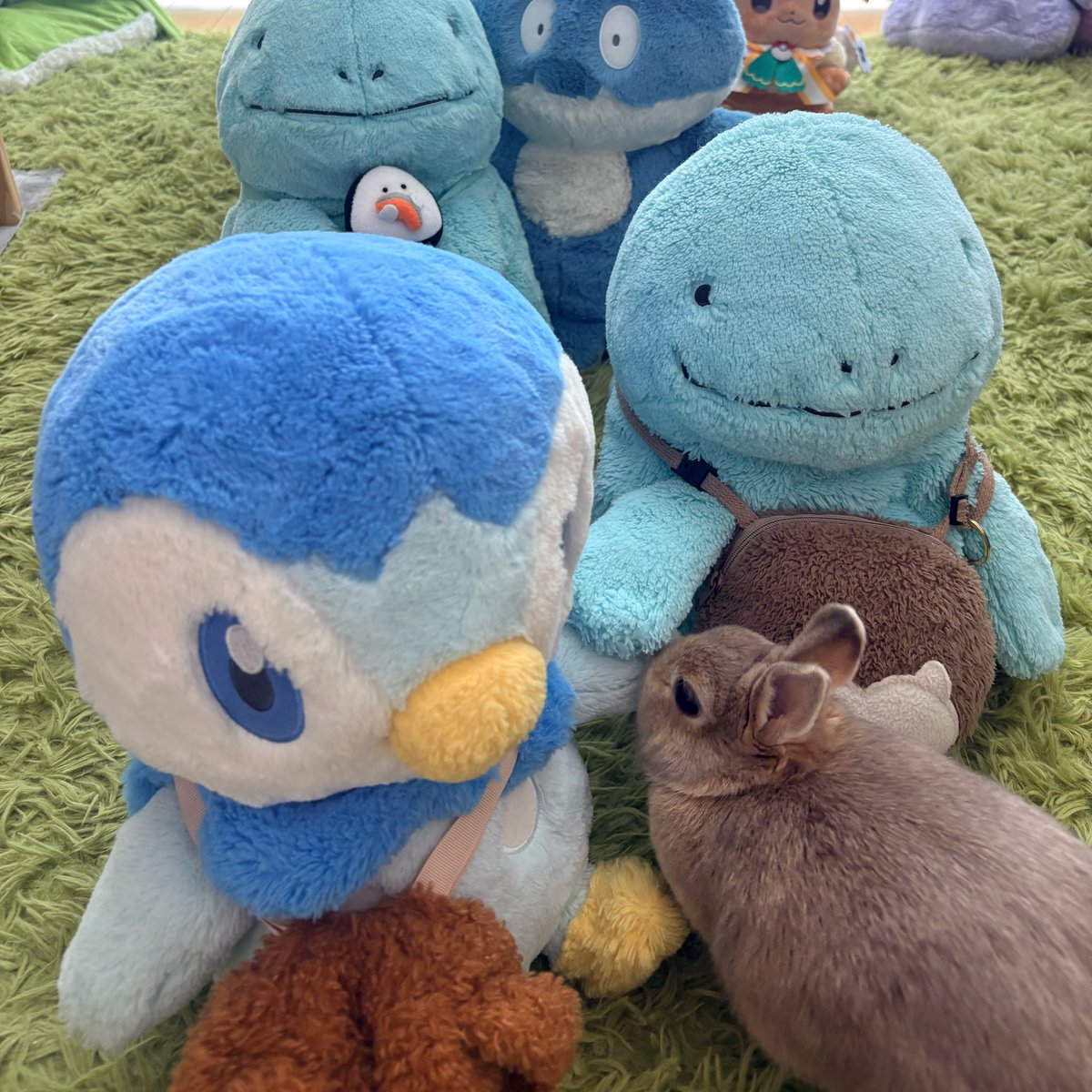 🐻くまママ️️🩵💎️️.*･ﾟ tweet media