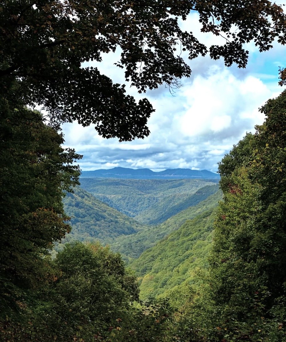 WV State Parks tweet media