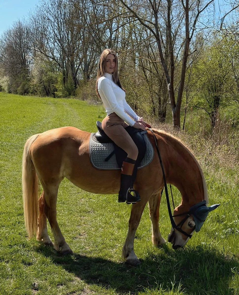 TastefulLindy tweet media