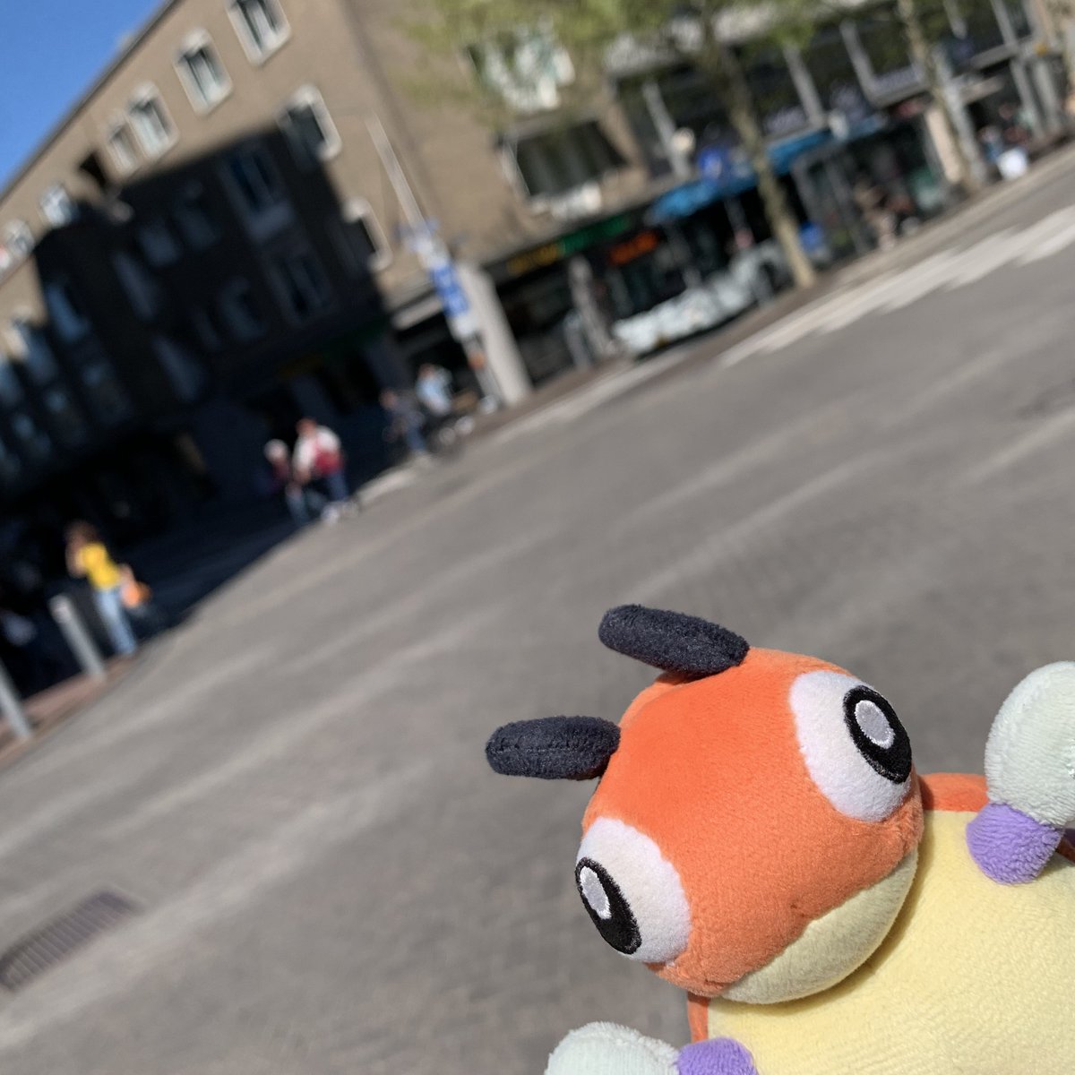 LedybaBaby's tweet photo. *takes a selfie*

#Pokemon #Ledyba #Rediba #レディバ #ポケモン #ポケぬい #Nijmegen https://t.co/uB7ab2TxiU
