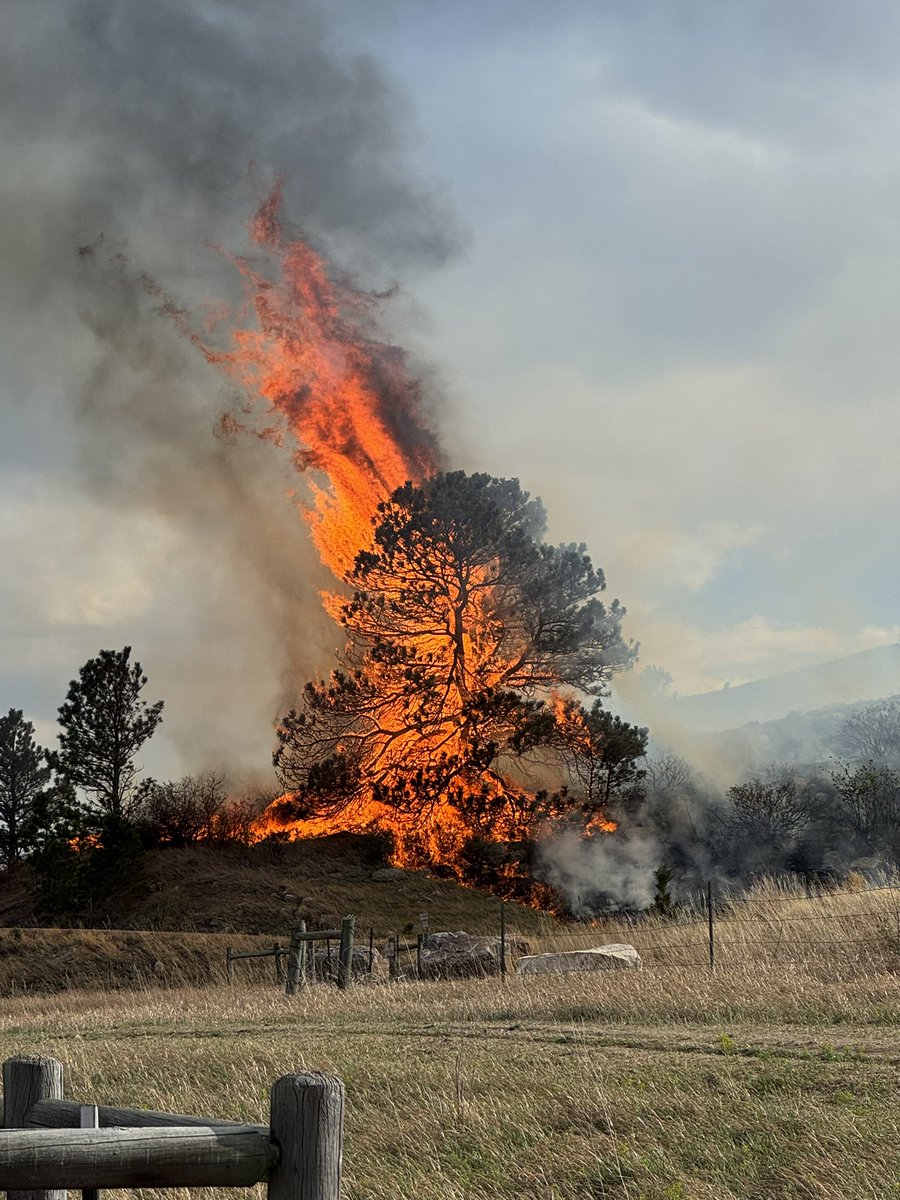 PFA is responding to a wildfire on the edge of Fort Collins, in the 1200 block of Catalpa Pl. Crews are on scene. More information to come.