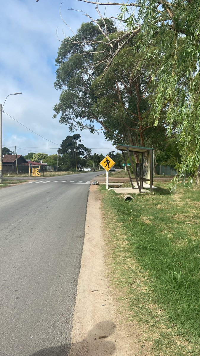 katy 🇺🇾 tweet media