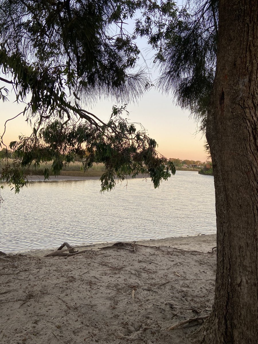 katy 🇺🇾 tweet media