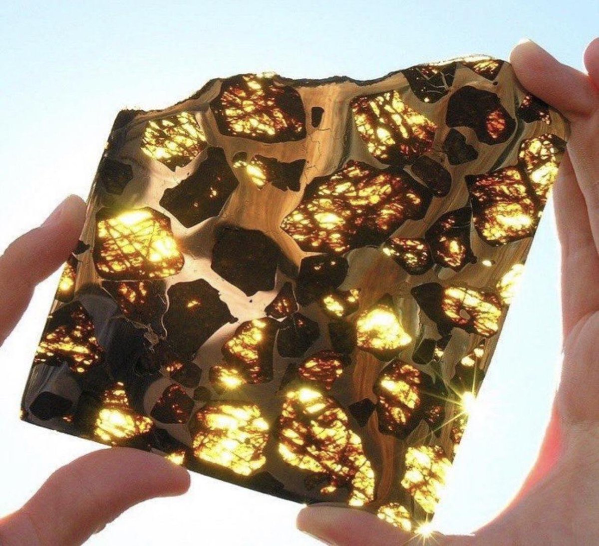 Curiosity tweet media