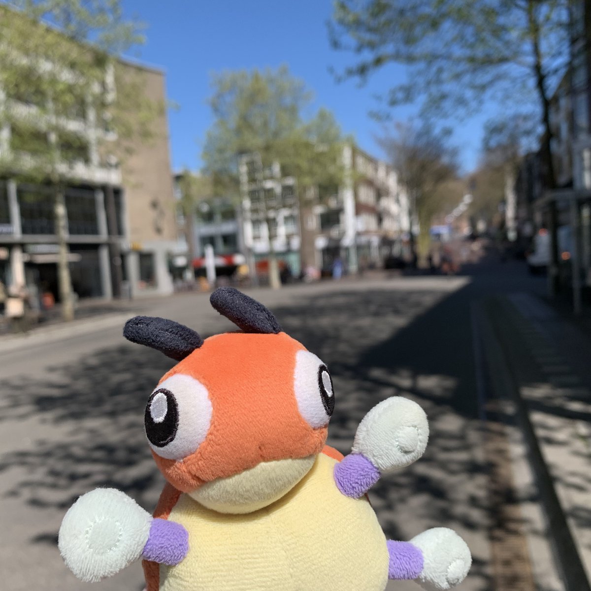 LedybaBaby's tweet photo. The sky is beautiful! Bright and blue.

#Pokemon #Ledyba #Rediba #レディバ #ポケモン #ポケぬい #Nijmegen https://t.co/7ENxwjnzTU