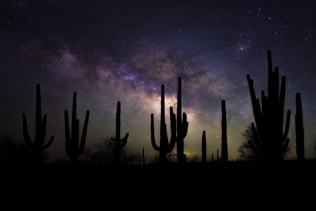 Sean Parker tweet media