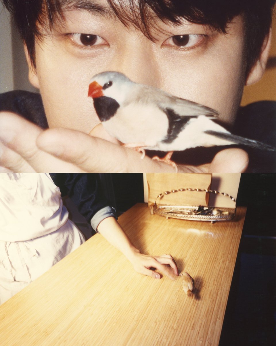 esquirekr's tweet image. 반려동물과 함께 사는 사람들🐾 그들에게 반려동물이란?
🔗 instagram.com/p/DXfekbzjxy2/…

#반려동물 #PET #웰니스 #WELLNESS