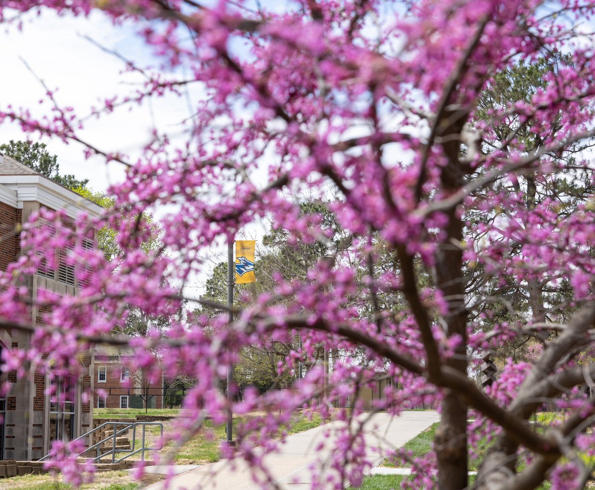 University of Nebraska at Kearney tweet media