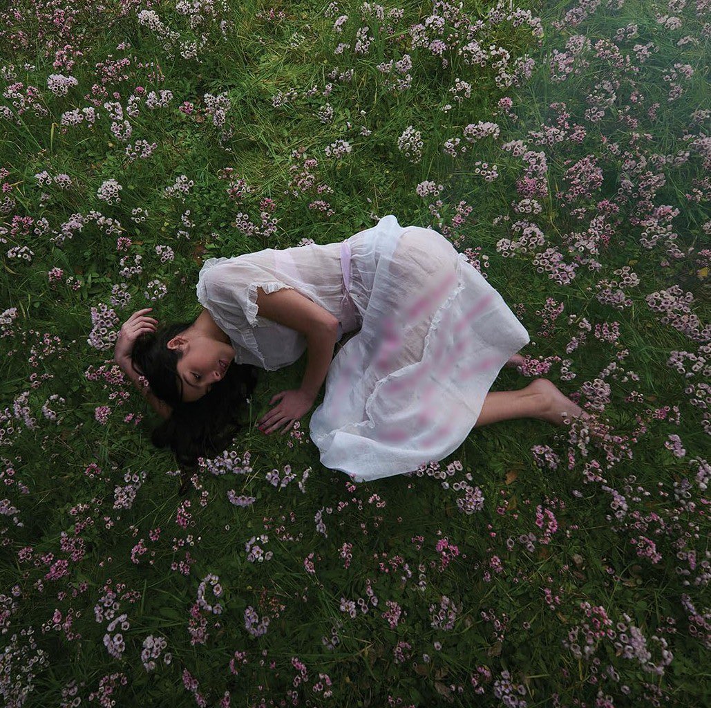 Indie 505 tweet media