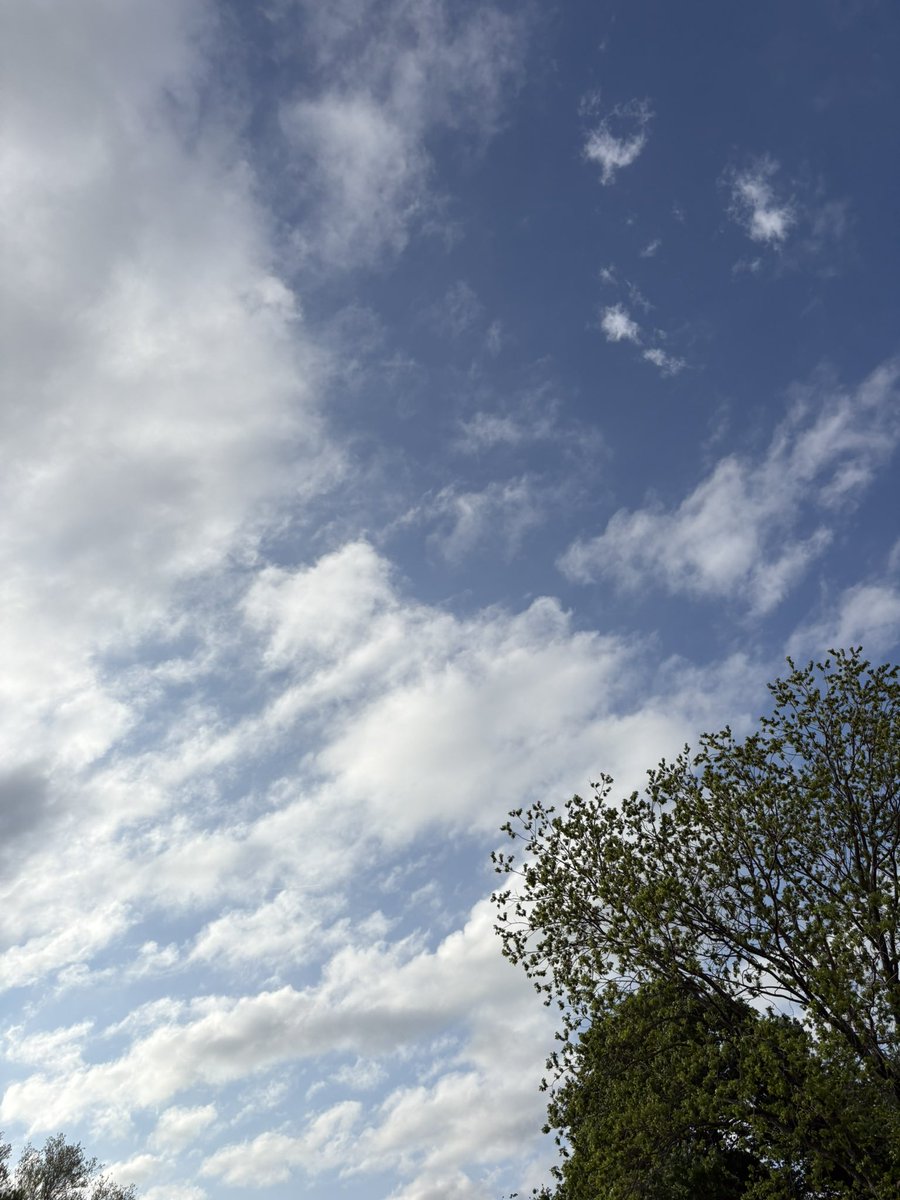 𝑀𝑜𝓂𝓂𝓎 𝐿𝒾𝓁𝒾 ᥫ᭡ tweet media