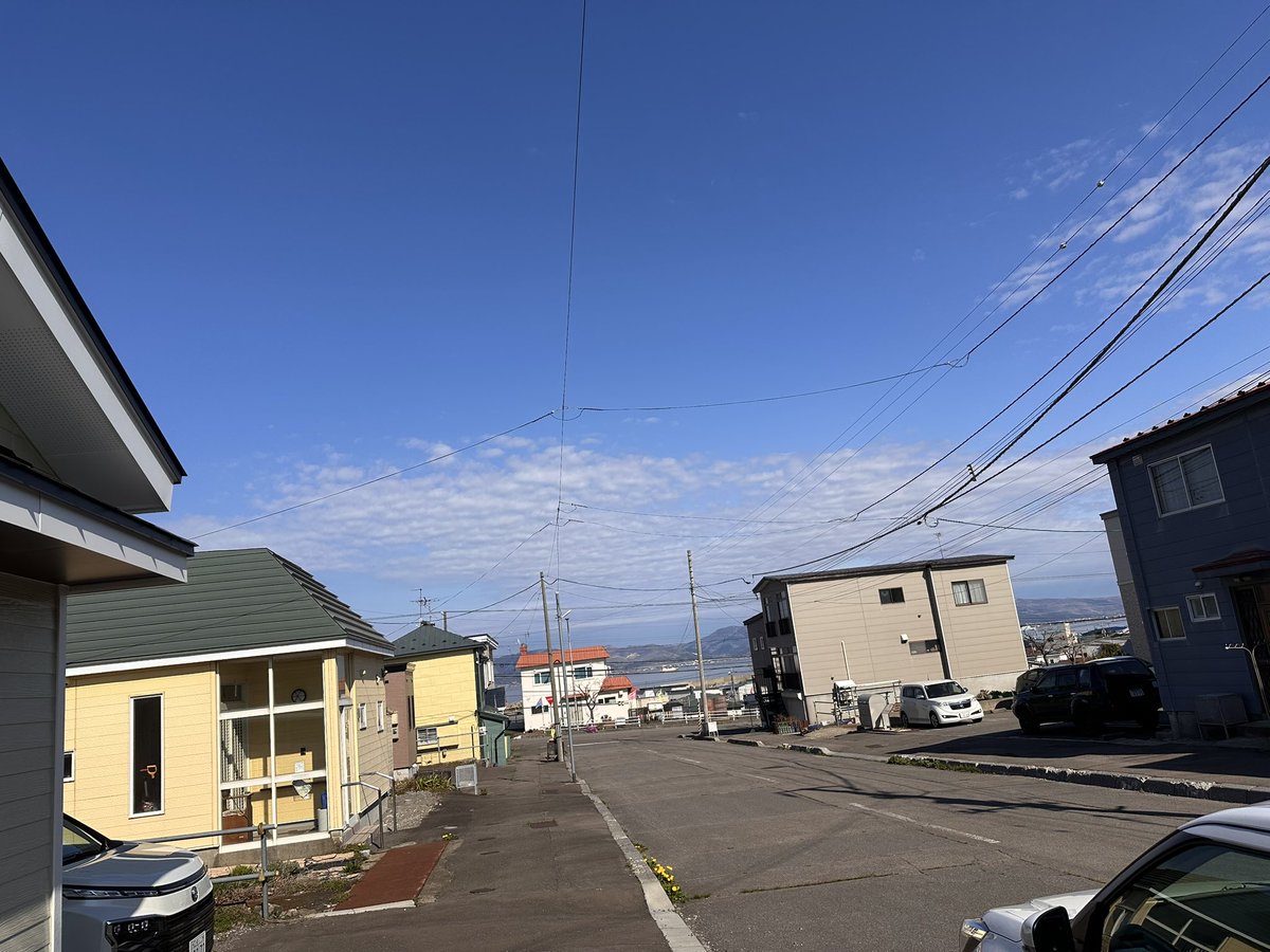 🐞かすみ🐞 tweet media