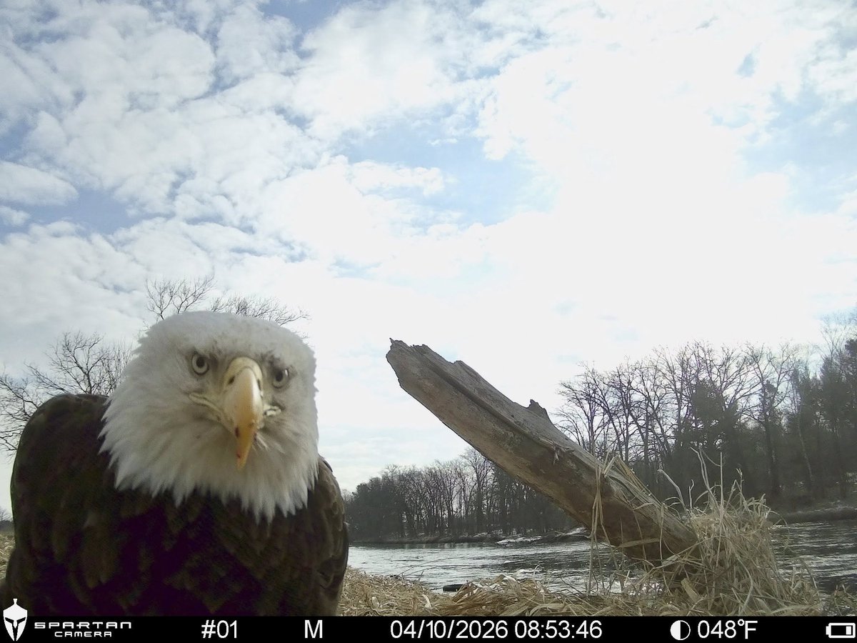 trailcam tweet media