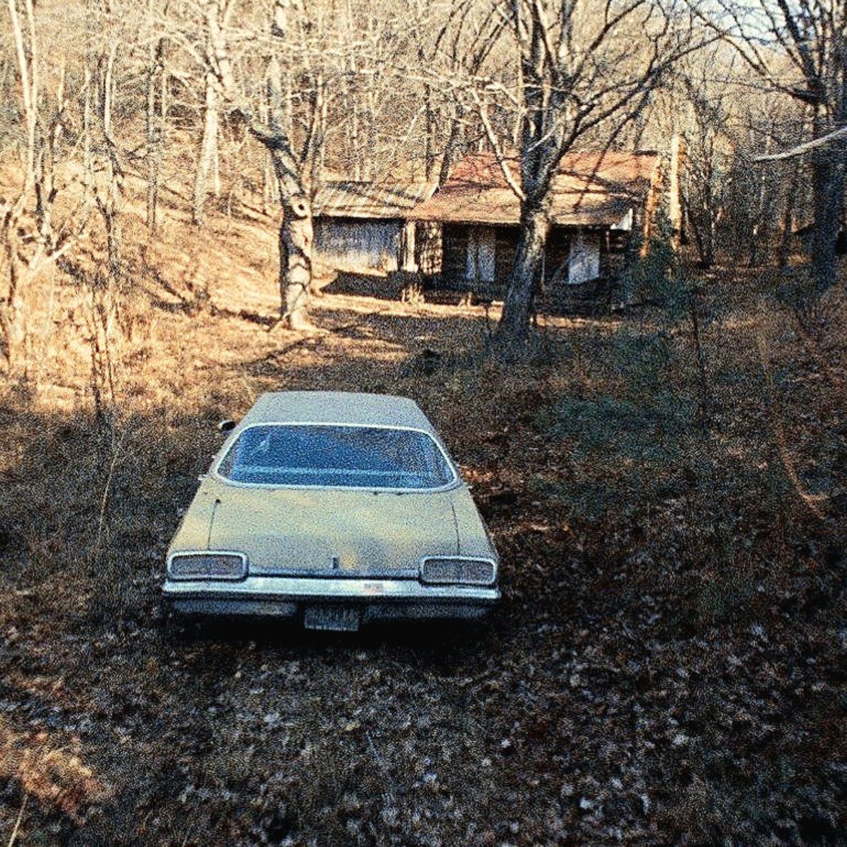 John Watches Horror tweet media