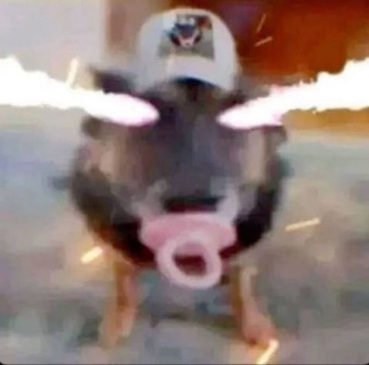 𝑨𝒍𝒃𝒂 | 𝑬𝒏𝒉𝒚𝒑𝒆𝒏 𝒊𝒔 𝟕 🧡 tweet media