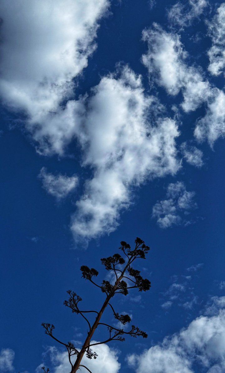 ella 💕 tweet media