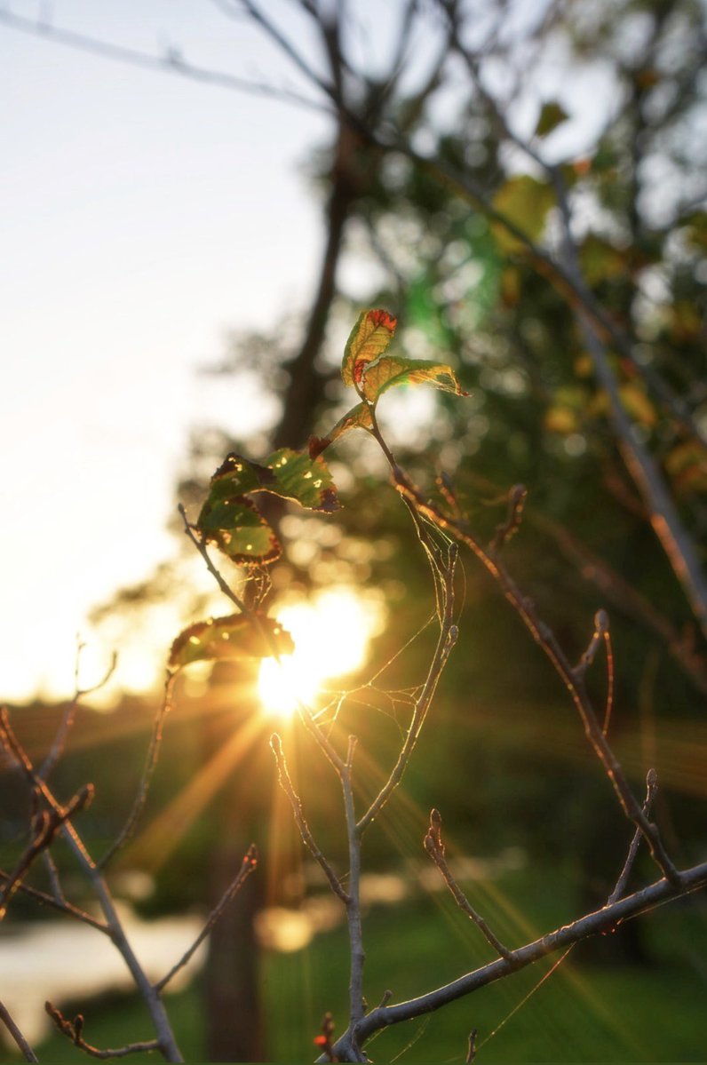 ella 💕 tweet media