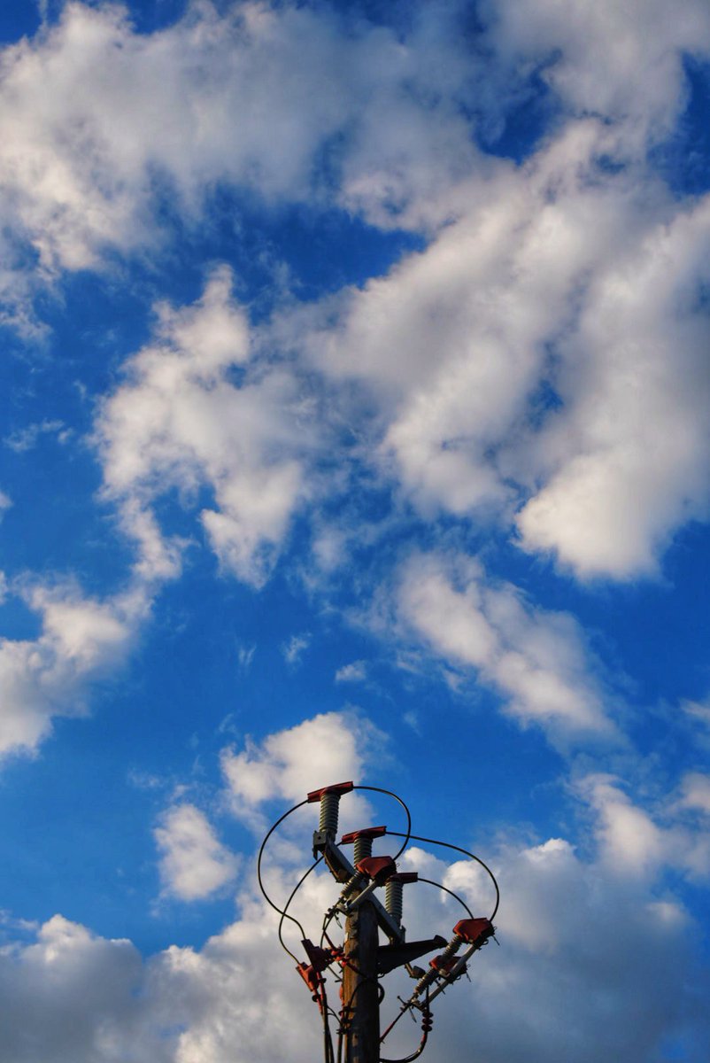 ella 💕 tweet media