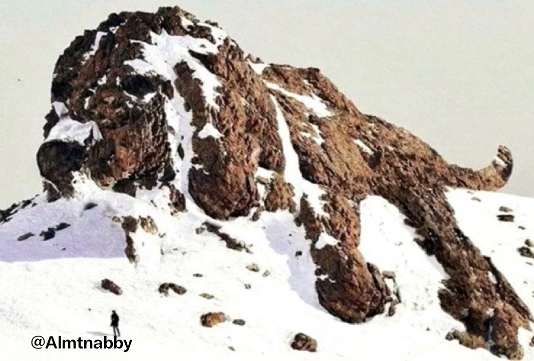 المتنبي. tweet media