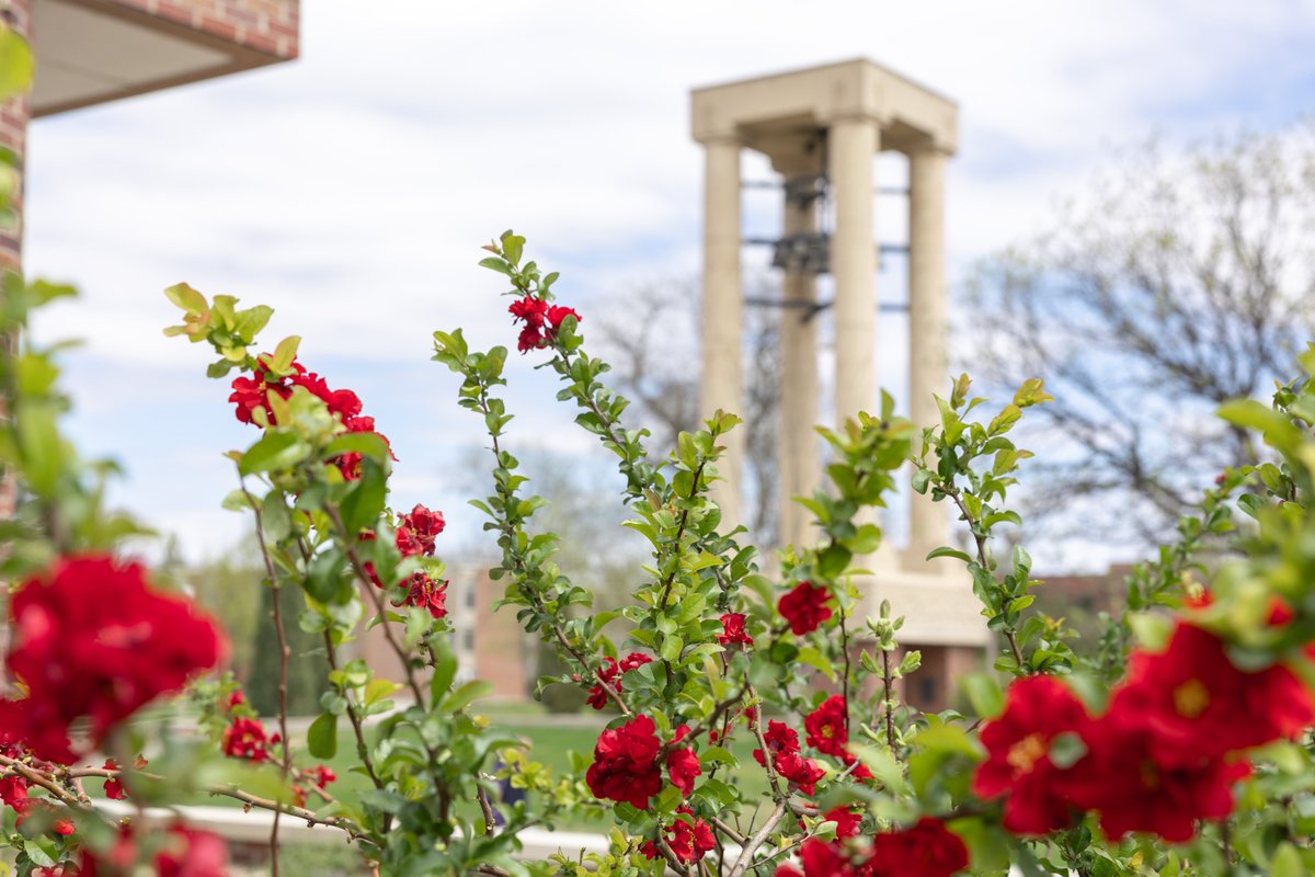 University of Nebraska at Kearney tweet media