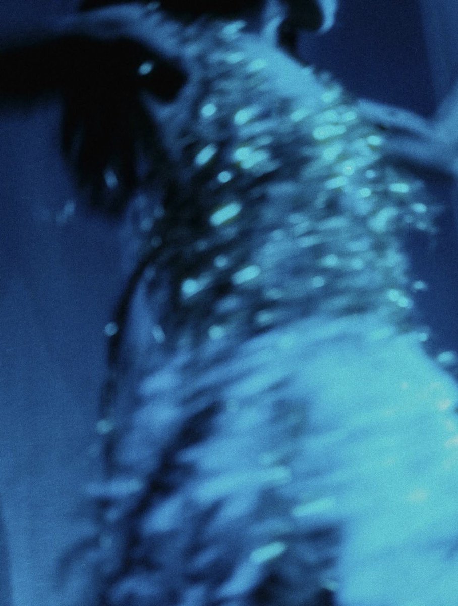 Not for Radio Updates 𖧧 tweet media