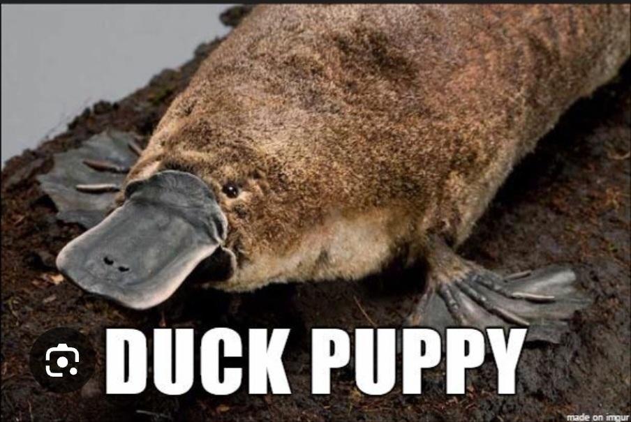 Mr nice guy tweet media