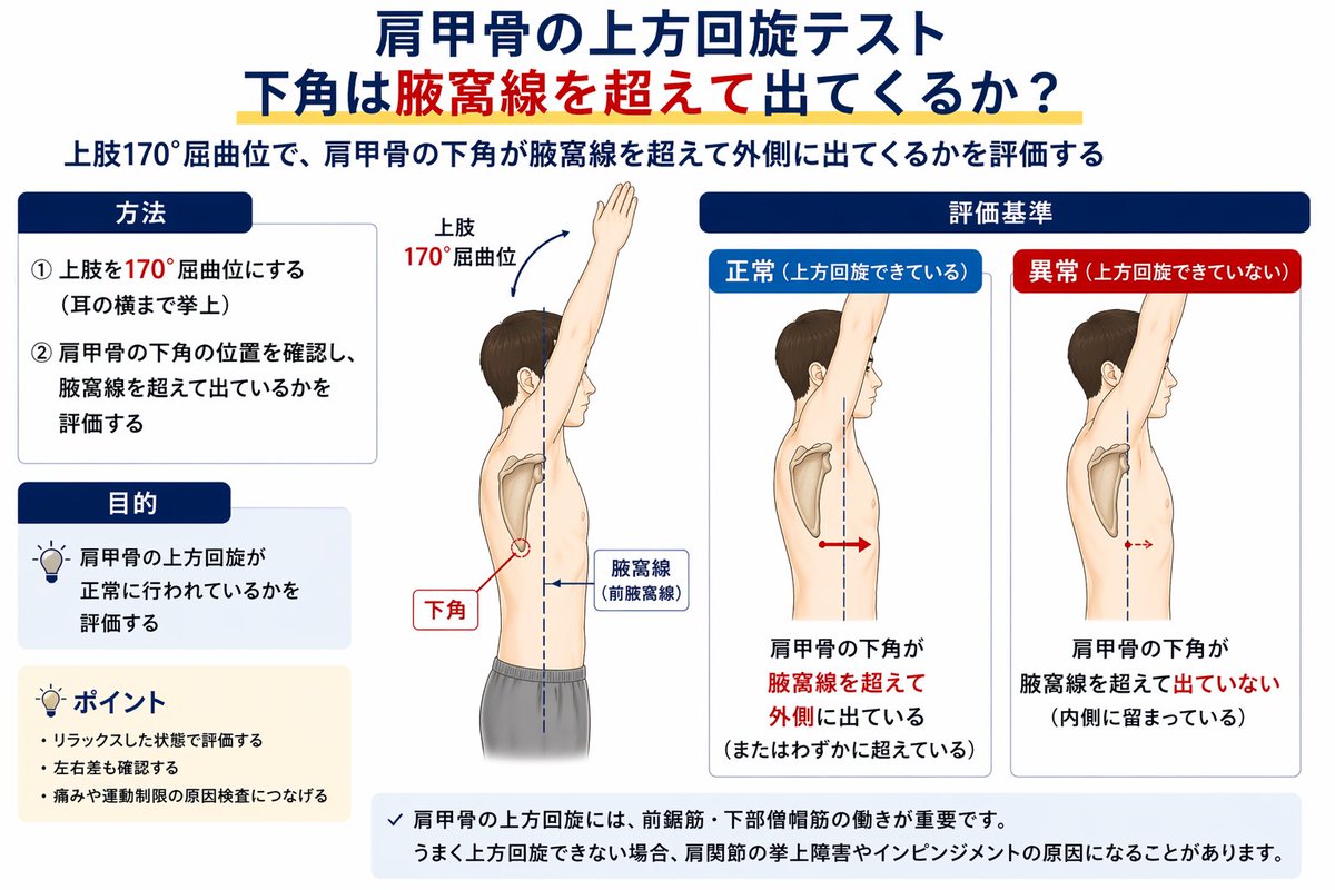 コンディショニングサロンHALU｜代々木・代官山 tweet media