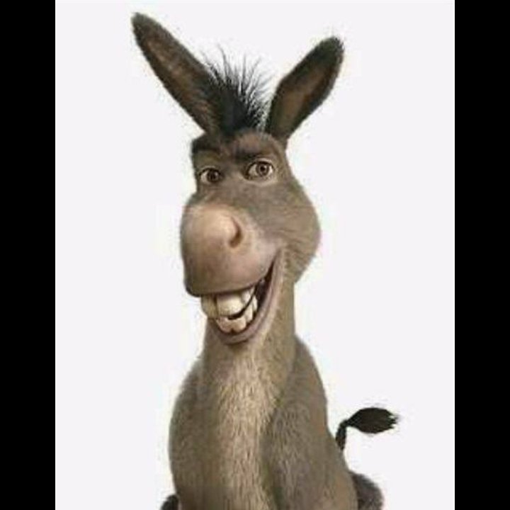 الوحيدي tweet media