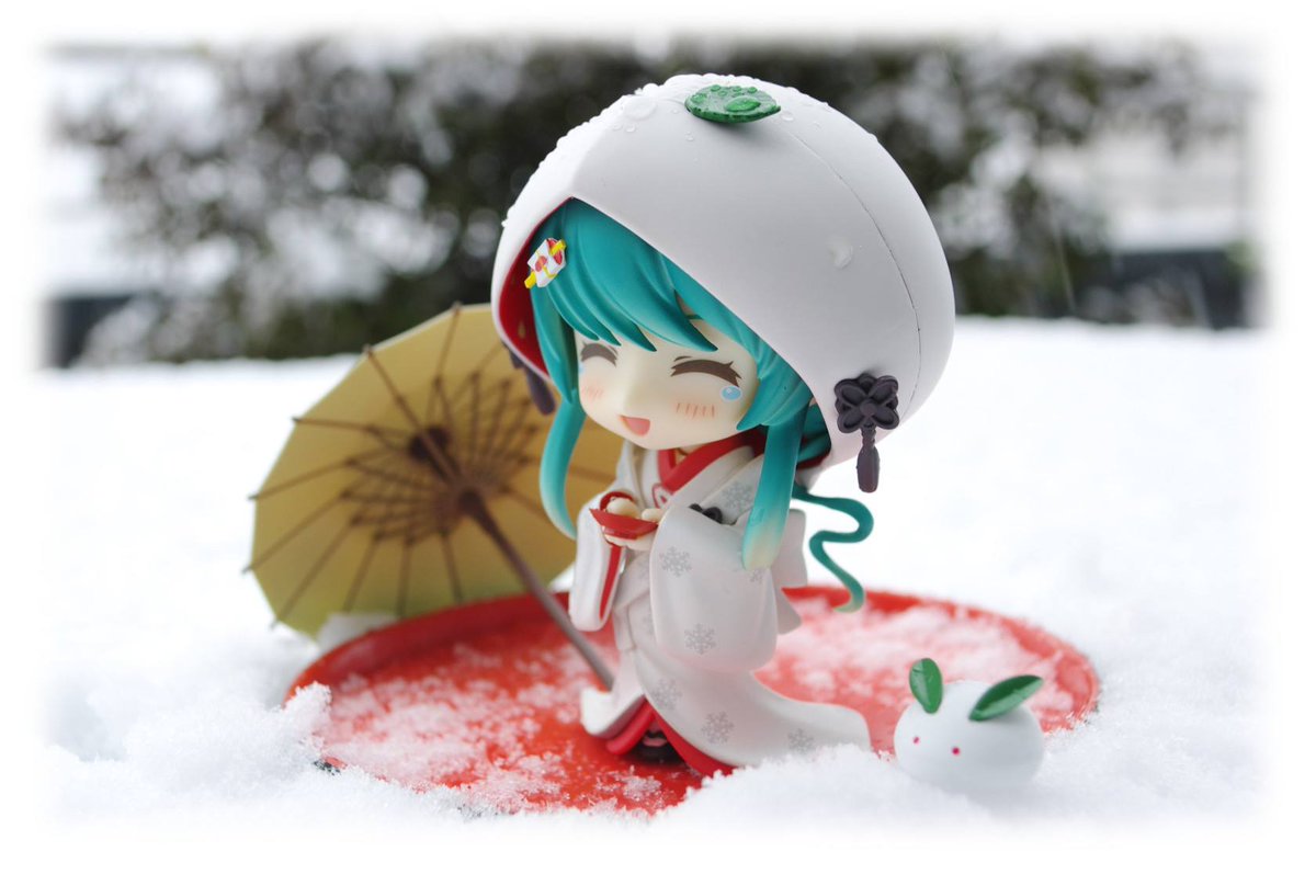 mansoor pasha tweet media