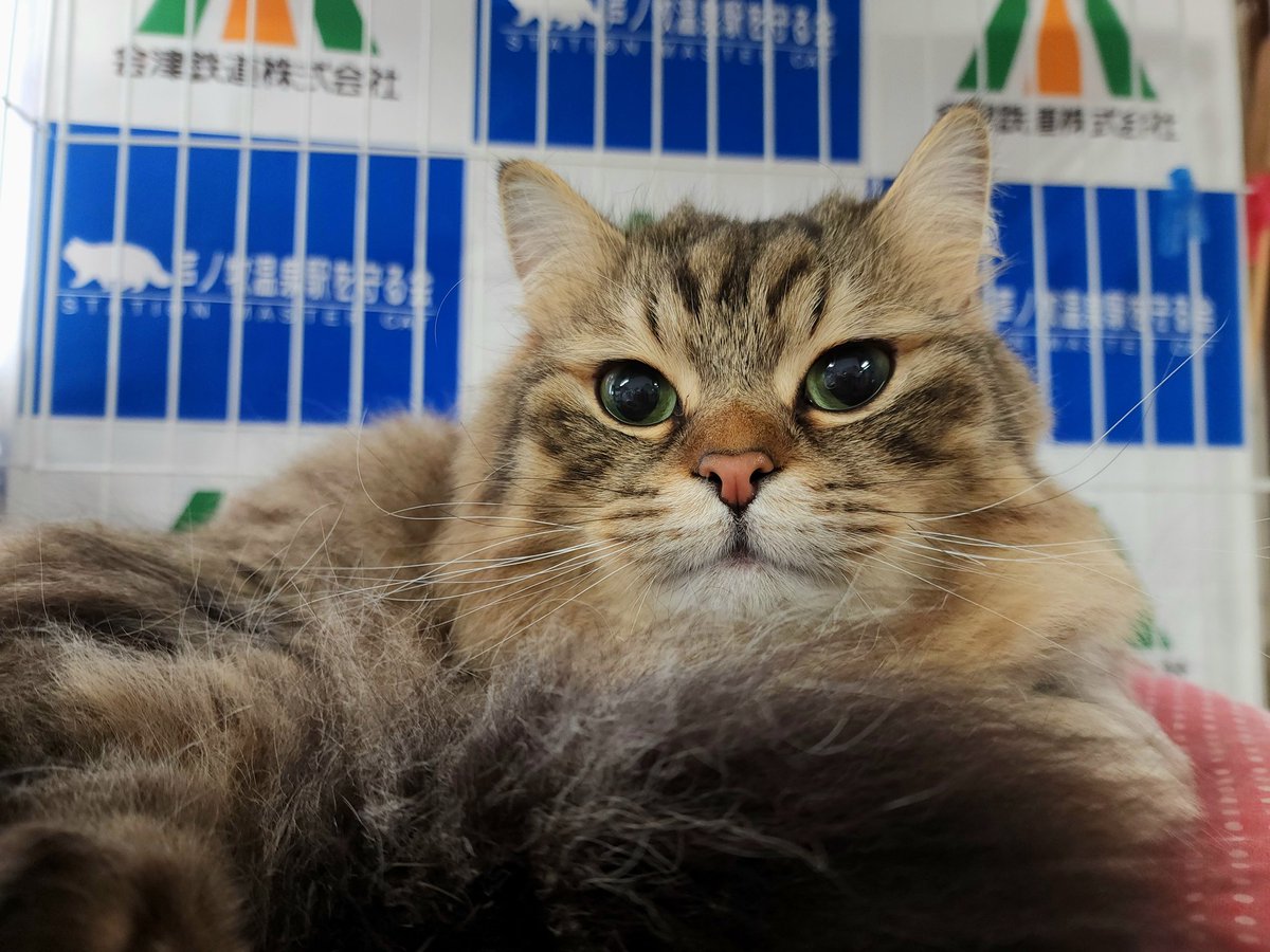 芦ノ牧温泉駅を守る会【公式】 tweet media