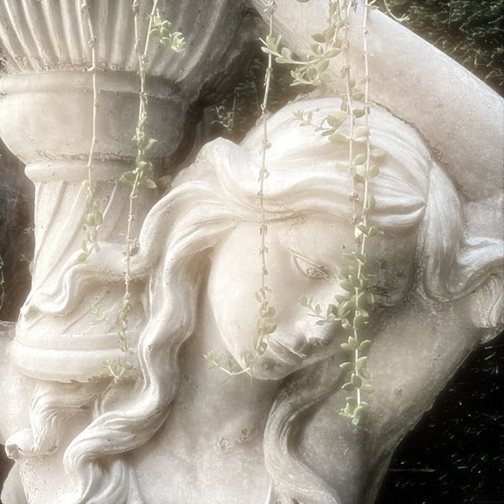 Atlas °❀⋆.ೃ࿔*:･ tweet media