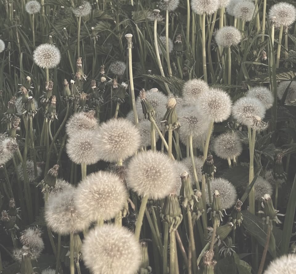 Atlas °❀⋆.ೃ࿔*:･ tweet media