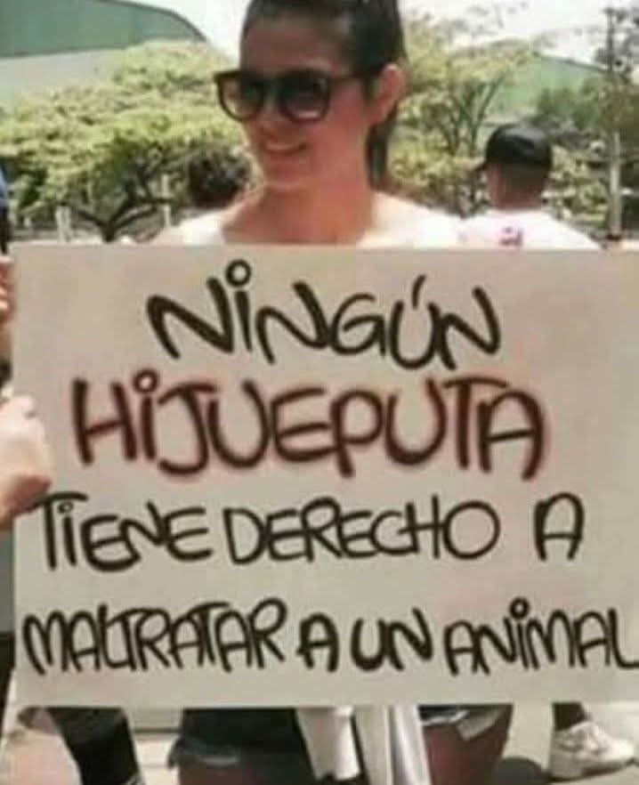 Alfredo Marquez T. tweet media
