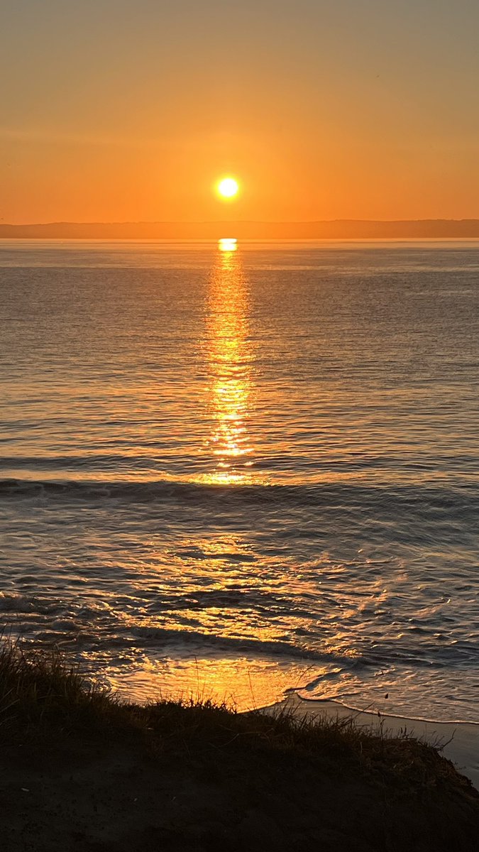 Suzziejq tweet media