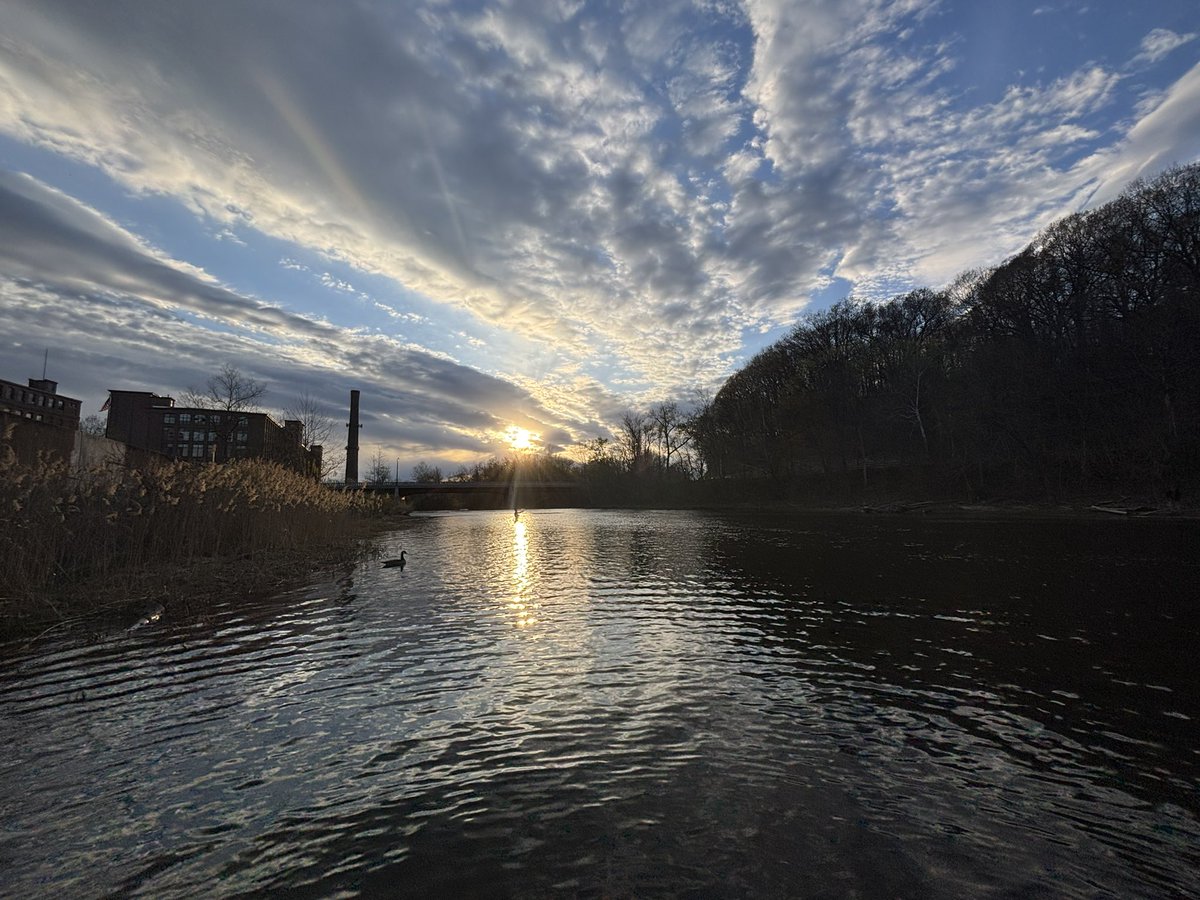 stayflyfishing's tweet image. 4-23-26 Chicopee River, Chicopee MA 
First attempt at American Shad this season…I did not catch a thing…. Nor did any of the other dozen people there. Unbeknownst, a friend of mine was videoing me. I’m in the top right corner. #flyfishing @MidCurrent @flyfishreport @NEFTClub